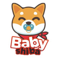 Baby Shiba