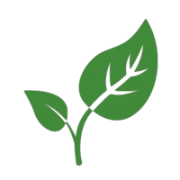 CryptoLeaf